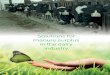 Solutions for manure surplus in the dairy industry · 2020. 1. 15. · to support its dairy farmers and the entire dairy sector in the search for sustainable solutions for surplus