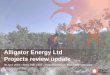 Alligator Energy Ltd Projects review update · 2019. 4. 30. · Alligator is focused on the discovery of large economic high grade energy related metal deposits (Uranium, Nickel,