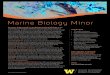 Marine Biology Minor · core coursework (19 credits) o FISH/OCEAN/BIOL 250 Marine Biology (5; A, Su) o OCEAN 210 Integrative Oceans (Physics 114 or 121 recommended) (4; A, W) o BIOL