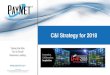 C&I Strategy for 2018 · ©2017 PayNet Inc. 2 C&I in the U.S. 1.3 Million Possibilities 28 Million Business 400 NAICS 3,300 Counties