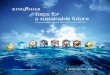 steps for a sustainable future - Kingfisher plc · 2020. 6. 21. · Efficiency Made Easy campaign. Securing ethical investment is an ongoing goal for Kingfisher. The company continues