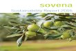 Sustainability Report 2016...1495-131 Algés, Portugal . E-mail: sustainability @sovenagroup .com Phone: +34 955 653 300 Fax: +34 954 796 062 INFLUENCE ON BUSINESS DECISIONS IMPORT