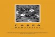 CARPA - NDRI€¦ · CARPA Newsletter, Issue 35—October 2003 6 Central Australian Rural Practitioners Association EDITORIAL “Alice Springs is still swimming in alcohol - drinking