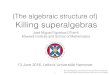 (The algebraic structure of) Killing superalgebrasjmf/CV/Seminars/Hannover2016.pdf · Clifford algebras connection on (Possibly also additional endomorphisms of $ depending on the