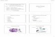 Unit 1: Introduction to Pathophysiology Cellular Biologyfalkowl/documents/Bio217Unit1aaF14Ch1to… · Bio 217 Pathophysiology Class Notes Professor Linda Falkow •Unit 1: Introduction