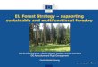 EU Forest Strategy supporting sustainable and ... · Carbon sequestration and storage Production of renewable raw materials Protection of humans and infrastructure Wind ... sustainable