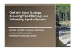 Chehalis Basin Strategy: Flood Damage and · 10/30/2013  · Key Site Considerations Seismic Hazards • 1/2,500 year ‐.56g pga • 1/5,000 year ‐.72g pga Landslide Hazards •