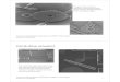 Comb drive actuators - University of British Columbiacourses.ece.ubc.ca/300/handouts/EECE300-2011-mechanical-2.pdf · Sandia cascaded comb drive (High force) Close-up Tang/Nguyen/Howe