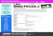 1 I Dig Dino Fossils Front - Memphis Museums€¦ · Simulate a fossil dig by burying shells, rocks and bones in a shallow pan covered with sand. Using small paintbrushes, students