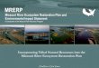 Missouri River Ecosystem Restoration Plan and Environmental … · 2011. 8. 4. · Missouri River Ecosystem Restoration Plan and EIS One River One Vision 3) Assess Resource Conditions