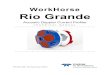 WorkHorse Rio Grande - comm-tec.com...WorkHorse Rio Grande Acoustic Doppler Current Profiler TECHNICAL MANUAL P/N 957-6241-00 (November 2007)