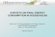 SURVEYS ON FINAL ENERGY CONSUMPTION IN ... Surveys on Final Energy...The energy consumption of households in 2010 was 25.9% of final energy consumption in the country. Improving the