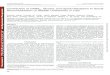 Contribution of GABAA, Glycine, and Opioid Receptors to ... · inducing reflex twitching of anal sphincter or toe inhibited bladder overactivity and significantly (P , 0.01) increased