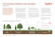 Guidance notes - Cadent · Dwarf Apple Trees, Shallow Rooted Shrubs and Christmas Trees Most Deciduous Trees and Conifers Poplars and Willows 2m Edge of Pipeline 10m 6m 3m No planting