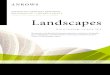 Landscapes...Cross-Border Justice Project 21 Overview 21 Evaluation of the Cross-Border Justice Project 21 Concluding comments 22 Perspectives of victims and victim advocates 24 Australian