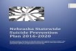 Nebraska Statewide Suicide Prevention Plan 2016-2020dhhs.ne.gov/Behavioral Health Documents/Nebraska Suicide... · 2019. 3. 30. · Suicide Prevention Plan 2016-2020 This plan provides