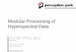 Modular Processing of Hyperspectral Data - Perception Park€¦ · Hyperspectral application • Extendable by plug-ins. “An operating environment is usually not a full operating