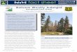 Published by Utah State University Extension and Utah ... · Restoration aimed at developing host tree resistance is the most viable management option. • BWA on individual or small