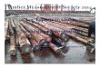 Timber Log Exports to Chinatimbermeasure.com/CDA_2014/Kosolofski.pdf · 2014. 6. 9. · Contrary to popular belief, the log inspection standards in China are quite stringent. Log