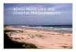 BEACH PROCESSES AND COASTAL ENVIRONMENTSgis.ess.washington.edu/.../Beach_lectures_2007_part1.pdf · 2007. 12. 5. · build bars offshore build higher berm (storm berm) washes through