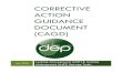 Corrective Action Guidance Document (CAGD) 2… · The overall purpose of the CAGD is to streamline the LAST/LUST site remediation process in West Virginia. It is intended that this