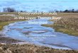 Conservation Services in the Upper Thames River Watershed...May 27, 2016  · Conservation Services in the Upper Thames River Watershed For the Agricultural Sector Working Group, Craig