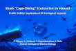 Public Safety Implications & Ecological Impacts...2009/05/14  · Shark ‘CageShark ‘Cage--Diving’ Ecotourism in Hawaii Diving’ Ecotourism in Hawaii Public Safety Implications