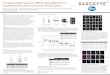 A multiparameter assay for HER2 protein detection on circulating … · 2020. 6. 25. · A multiparameter assay for HER2 protein detection on circulating tumor cells in non-small