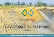 BLYVOOR GOLD TAILINGS PROJECT · 2020. 7. 28. · PROJECT DEVELOPMENT WITH NEAR TERM #GOLD PRODUCTION BLYVOOR GOLD TAILINGS PROJECT JULY 2020. ... professional experience relating