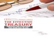 INSIGHT SURVEY - Treasury management...pany needs and pricing imperatives. The way treasury is structured may be another success factor for effectiveness. More respondents who judge