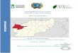 Rapid SMART Assessment Report Herat IDPs Camps, Herat … · 2020. 4. 30. · Executive summary In April 2019, Action Against Hunger (AAH) in collaborations with the Ministry of Public
