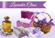 Lavender Class - Nature's Garden...become the largest distributor of fragrance oils in the USA; serving more than 80,000 customers! We could not do any of this without YOU! 42109 State