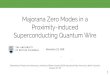 Majorana Zero Modes in a Proximity-induced Superconducting Quantum Wirephys449/Proposalexample1.pdf · Overview Problems to solve Project objective Market trends Trend analysis Target