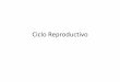 Ciclo Reproductivo - Universidad Virtual FAUSACuv.fausac.gt/uv/courses/ANATOMIAYMORFOLOGIAVEGETALSECC... · 2020. 7. 9. · Qué ocurre en la meisis II •Las cromátides hermanas