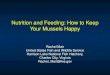 Feeding and nutrition - FMCS-Freshwater Mollusk Conservation PDFs... · 2016. 8. 1. · Nutrition and Feeding: How to Keep Your Mussels Happy Rachel Mair United States Fish and Wildlife