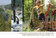 SW REGIONAL WOODLAND & FORESTRY FRAMEWORK … · Initiative; regional website SW Woodshed established ONGOING ACTIONS 2009 -12 The first Implementation Plan set out 150 regional actions