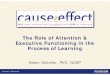 The Role of Attention & Executive Functioning In the ... · • Thorell L B, Lindqvist S, Bergman S, Bohlin G, Klingberg T (2009). Training and transfer effects of executive functions