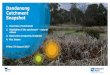 Dandenong Catchment Snapshot - Amazon S3...Nationally significant species: dwarf galaxias and Yarra pygmy perch Threats to fish species include: • habitat loss/degradation (instream