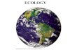 Biol 1020: Ecology - Auburn University · 2014. 11. 18. · What is ecology? Ecology is the scientific study of interactions between _____ term ecology comes from the Greek oikos,