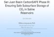 San Juan Basin CarbonSAFE Phase III: Ensuring …...San Juan Basin CarbonSAFE Phase III: Ensuring Safe Subsurface Storage of CO 2 in Saline Reservoirs DE-FE0031890 William Ampomah,