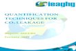 QUANTIFICATION TECHNIQUES FOR CO LEAKAGE - IEA Greenhouse Gas … · 2013. 7. 25. · Soil gas and flux Downhole fluid chemistry Hydrochemical methods Tracers Soil . Leakage quantification