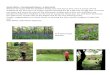 South Wilts – The Bluebell Shoot – 5 May 2015 · 2015. 5. 6. · South Wilts – The Bluebell Shoot – 5 May 2015 Weren’t we lucky with the weather! Pretty wet until about