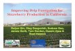 Improving Drip Fumigation for Strawberry Production in ... · All the fumigation treatments provided 100% control, both at bed-center or near bed edge. Pythium ox. in soil (near bed