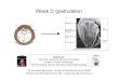 Week 3: gastrulation - Embryology Week 3 Lecture overview Placentation Body axes Gastrulation Notochord