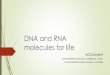 DNA and RNAcopernico.edu.it/wordpress/wp-content/uploads/2017/03/...RNA Ribonucleic acid (RNA) is a polymeric molecule implicated in various biological roles in coding, decoding, regulation,