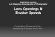 Lens Openings and Shutter Speeds - CheuvrontAn image made with a slow shutter, perhaps 1 or more seconds. This long exposure allowed the parts of the field of view which were moving