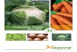 New Vegetable Seeds · 2017. 11. 16. · the legacies of Hazera Genetics and Nickerson Zwaan. Combining decades of experience with state-of-the-art technology, we breed, develop,