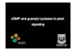 cGMP and guanylyl cyclases in plant signaling · 2020. 3. 12. · Ca2+ is arguably the best studied second messenger How can Ca2+ mediate plant responses to both auxin and ABA ? -