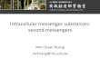 Intracellular messenger substances: second messengershomepage.ntu.edu.tw/~mchuang/second messenger.pdf · 2013. 3. 8. · Types of second messengers • Cytosolic: –cAMP, cGMP,
