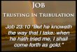Trusting In Tribulation - Preaching Christpreachingchrist.net/documents/Job.pdf · 2017. 1. 17. · Job Trusting In Tribulation Job 23:10 “But he knoweth the way that I take: when